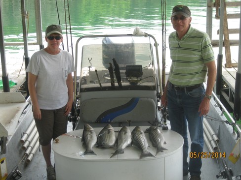Nice Striped Bass